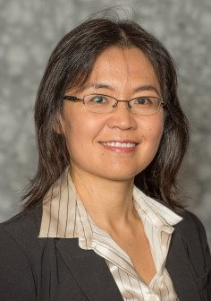 Prof. Yue Qi